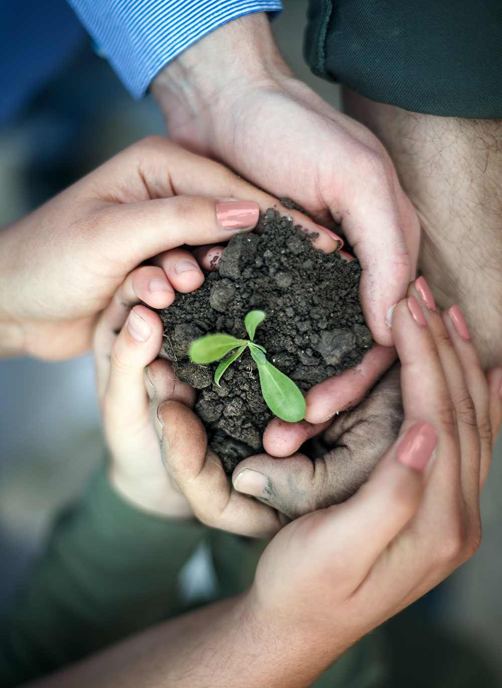 Sustentabilidad y mejora continua, ideales operativos de Grupo Adecco México