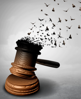 LA REFORMA JUDICIAL EN MÉXICO_5